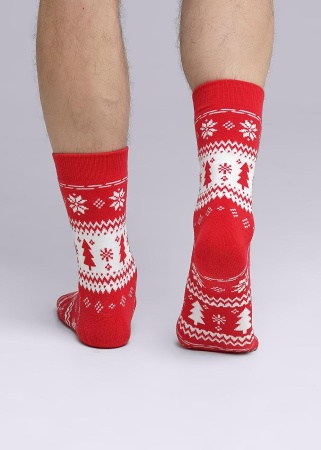 177066 Носки муж CLE К3350П (1)