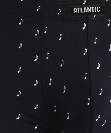 172749 Шорты муж. 3MH-156 (2)