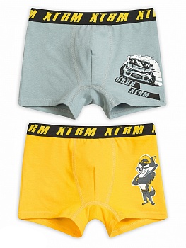 Трусы шорты для мальчиков Pelican 162047