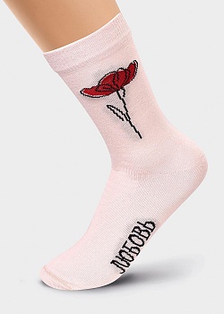 Носки цветные для женщин Clever 170872