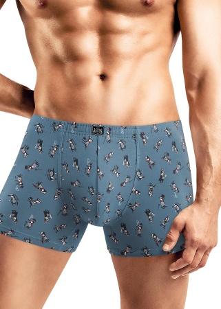 177492 Трусы мужские CLE MSH431621