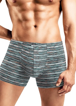 Трусы шорты для мужчин Clever 179766