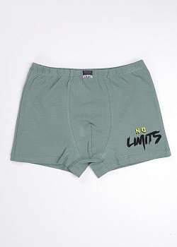 Трусы боксеры для мальчиков Clever 172974