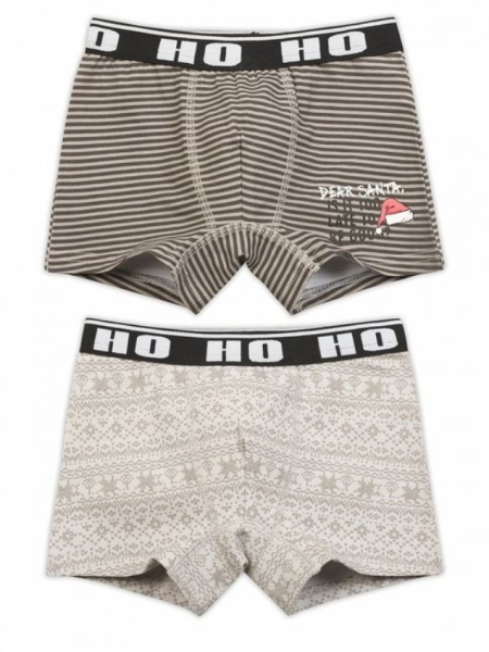 172463 BUHB3870(2) трусы для мальчиков