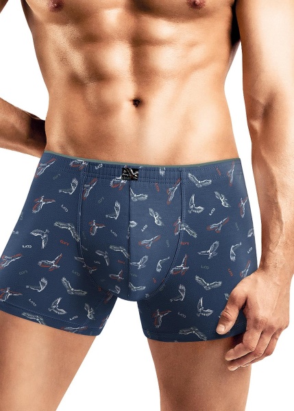 177931 Трусы мужские CLE MSH541423