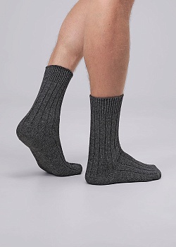 Носки теплые для мужчин Clever 179236