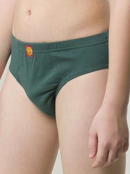 176206 BULB4295(3) трусы для мальчиков (1)