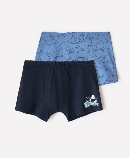 172499 Трусы мал CROCKID К 1912/2 (4)