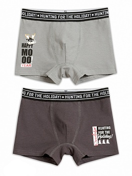 Трусы шорты для мальчиков Pelican 166377