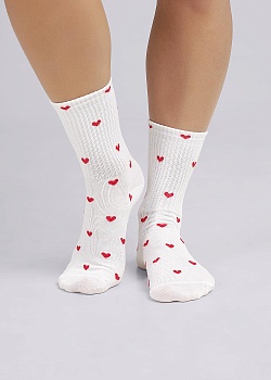 Носки цветные для женщин Clever 179778