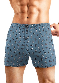 Трусы боксеры для мужчин Clever 177496