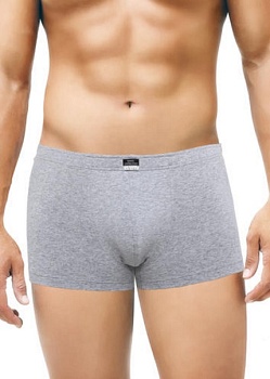 Трусы шорты для мужчин Clever 143515