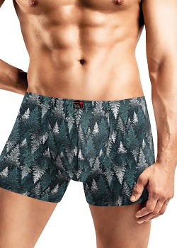 Трусы шорты Новый год для мужчин Clever 185226