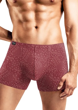 Трусы шорты для мужчин Clever 180427