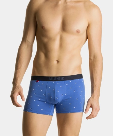 178013 Шорты муж. 3MH-187 (1)