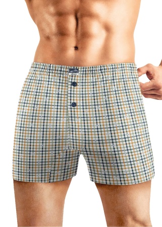 176540 Трусы мужские CLE MBX430111