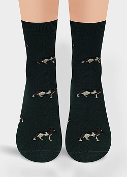 Носки цветные для мужчин Clever 172973