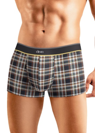 173636 Трусы мужские CLE MH530613