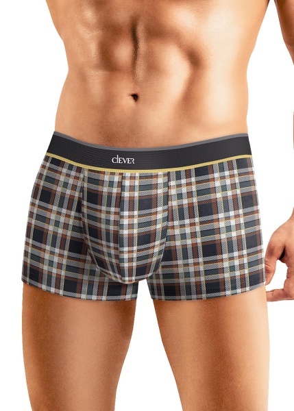 173636 Трусы мужские CLE MH530613