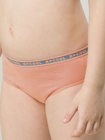 176208 GULB3298(3) трусы для девочек