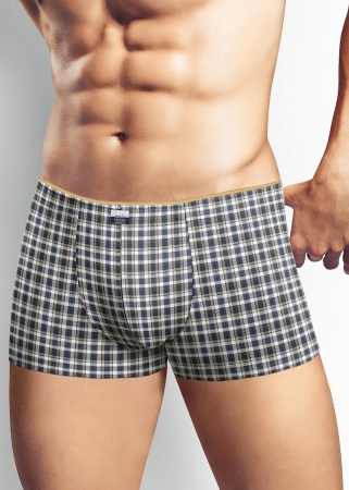 170792 Трусы мужские CLE MH410113