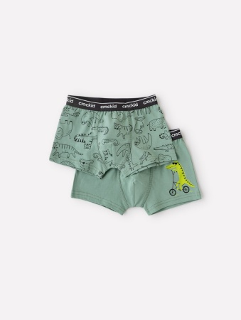 172500 Трусы для мал CROCKID К 1935/2