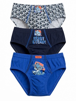 Трусы слипы для мальчиков Pelican 165957