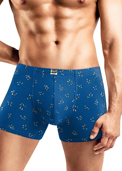 Трусы шорты для мужчин Clever 178385