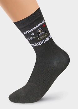 Носки цветные 23 февраля для мужчин Clever 173184