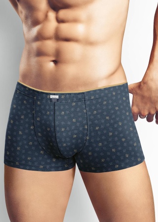 170793 Трусы мужские CLE MH410323