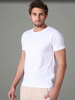 Футболка для мужчин Sergio Dallini 173274