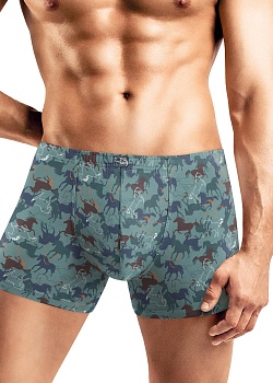 Трусы шорты для мужчин Clever 185361