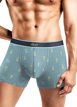 Трусы шорты для мужчин Clever 180478