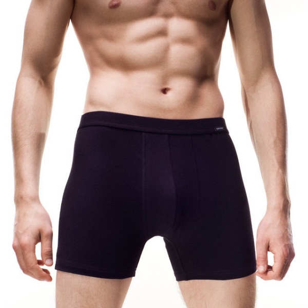 132228 Authentic 092 Perfect шорты муж.