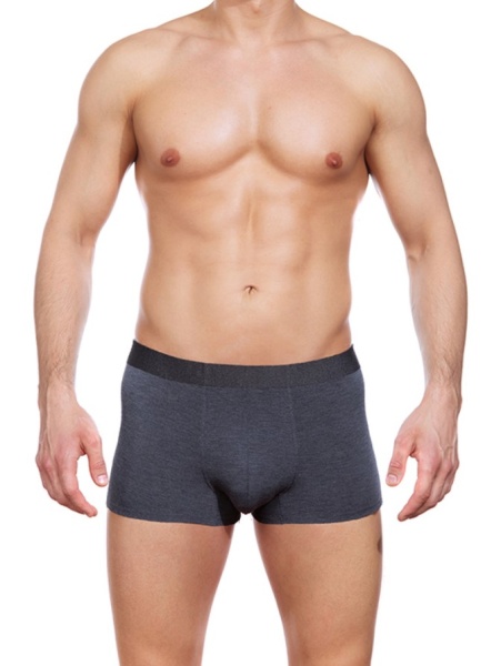 171810 Боксеры мужские SD 2901-8