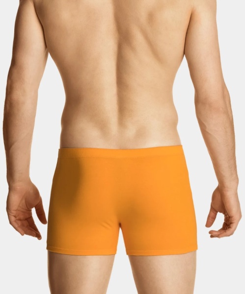 176729 Шорты муж. 5SMH-002 (2)