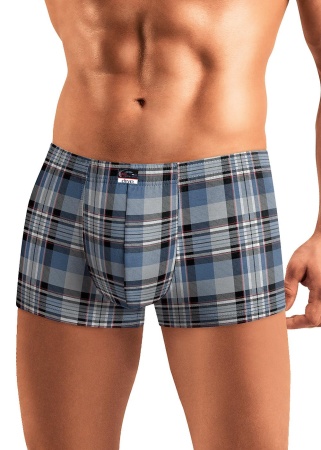 173223 Трусы мужские CLE MH420711