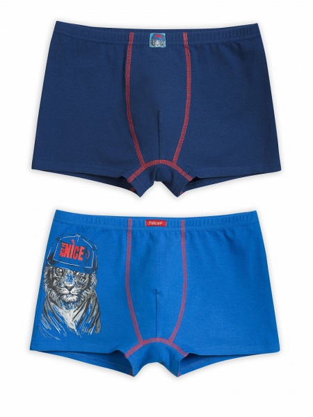 162936 BUHB4174(2) трусы для мальчиков