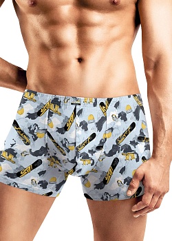 Трусы шорты для мужчин Clever 179373