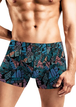 Трусы шорты для мужчин Clever 185743