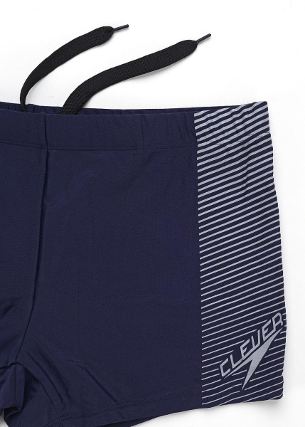 171480 Купальные шорты CLE SH521512 (1)