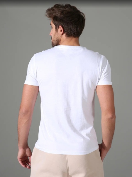 173274 Футболка мужская Sergio Dallini SGT755-1 (2)