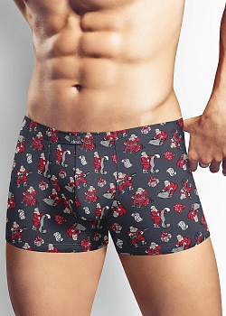 Трусы шорты Новый год для мужчин Clever 170481