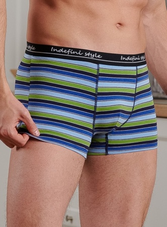 176246 Трусы мужские INDEFINI MUG3012