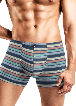 Трусы шорты для мужчин Clever 174090