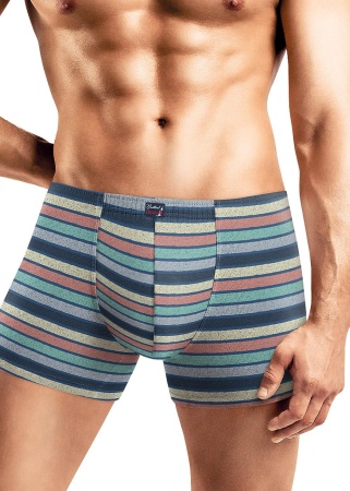 174090 Трусы мужские CLE MSH531141