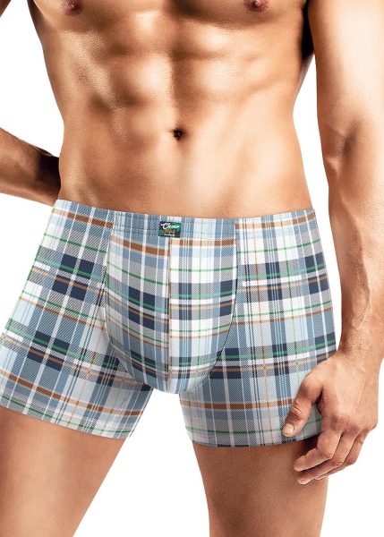 176386 Трусы мужские CLE MSH531611