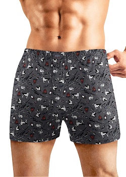 Трусы боксеры для мужчин Clever 178994