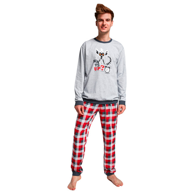 Пижама джемпер + брюки для мальчиков Cornette 153073