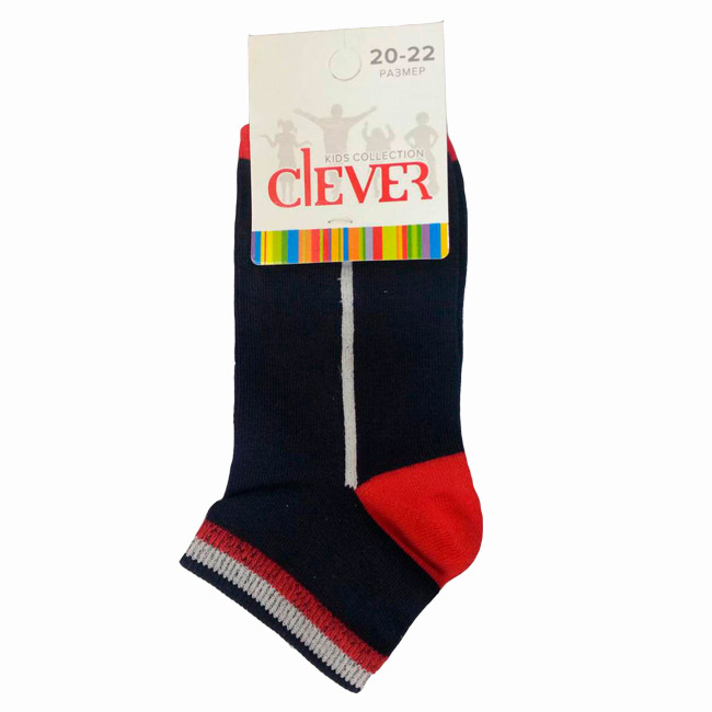 Носки цветные для мальчиков Clever 154726